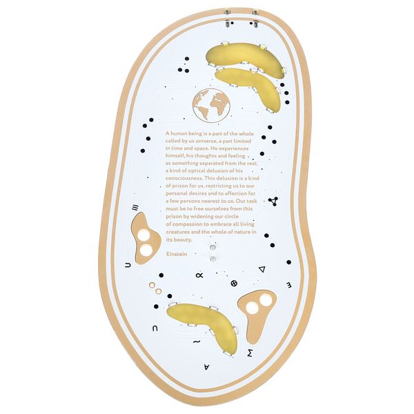 Playtronica Biotron Midi Controller - Midi controller - Variation 1