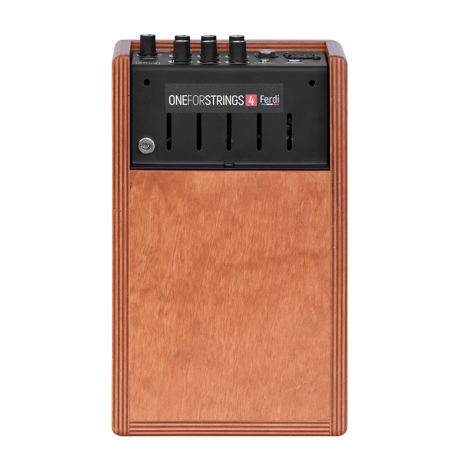 Acus One Forstrings 4ferdi Wood 40w - Acoustic guitar combo amp - Variation 2