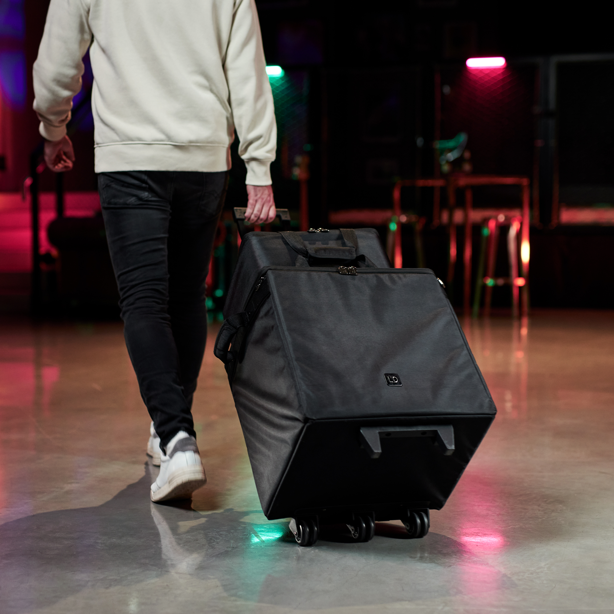 Ld Systems Dave 10 G4x Bag Set - Bag for speakers & subwoofer - Variation 13