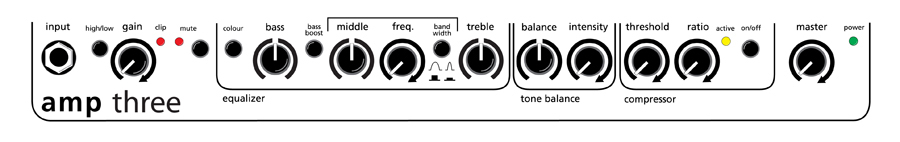 Aer Amp Three - Bass combo amp - Variation 2