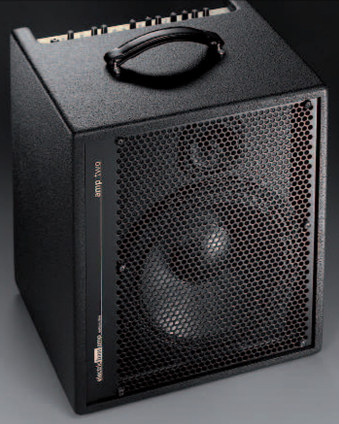 Aer Amp Two 240w 1x12 - Bass combo amp - Variation 1
