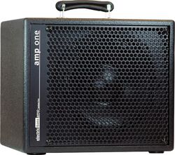 Bass combo amp Aer AP1 Amp One