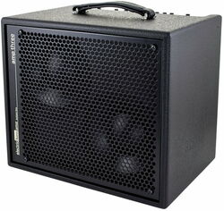 Bass combo amp Aer Amp Three