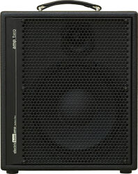 Bass combo amp Aer Amp Two