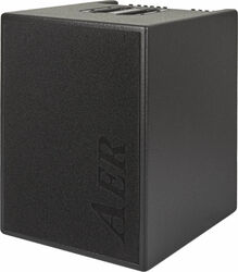 Bass combo amp Aer Basic Performer 2