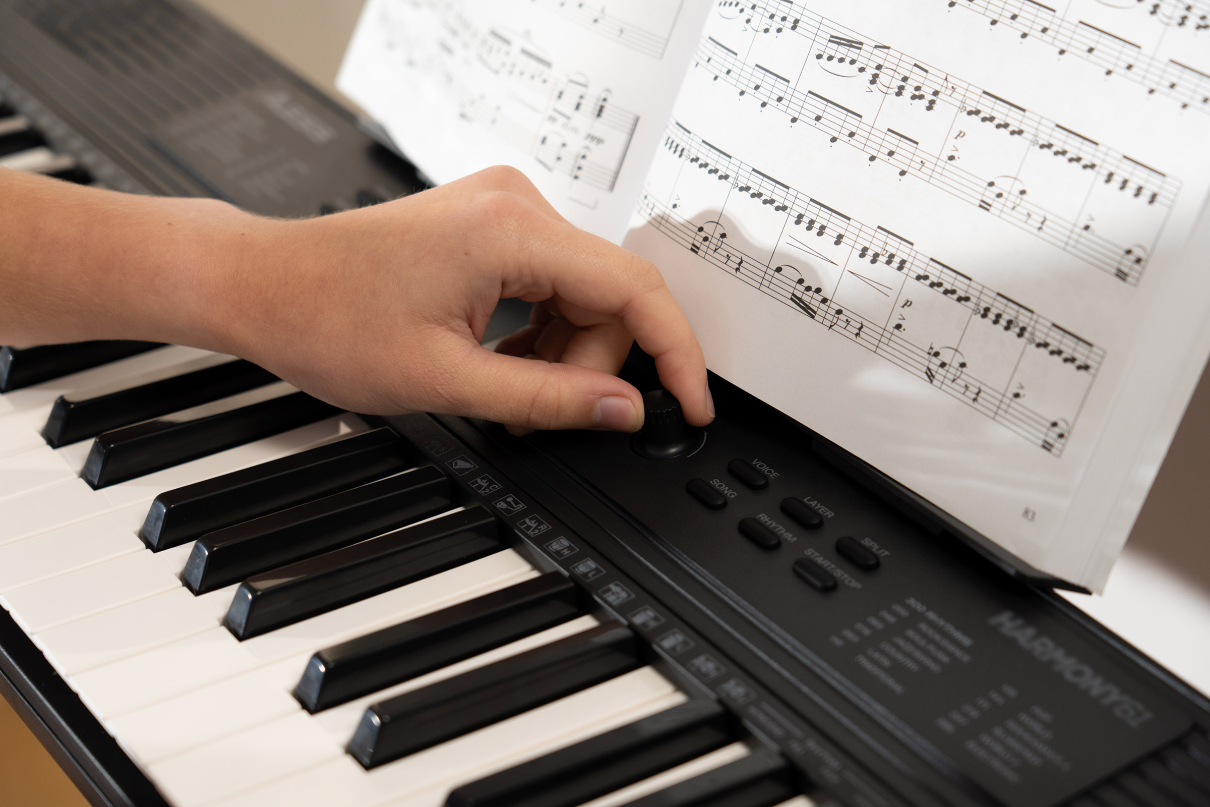 Alesis Harmony 61 Mk4 - Entertainer Keyboard - Variation 9