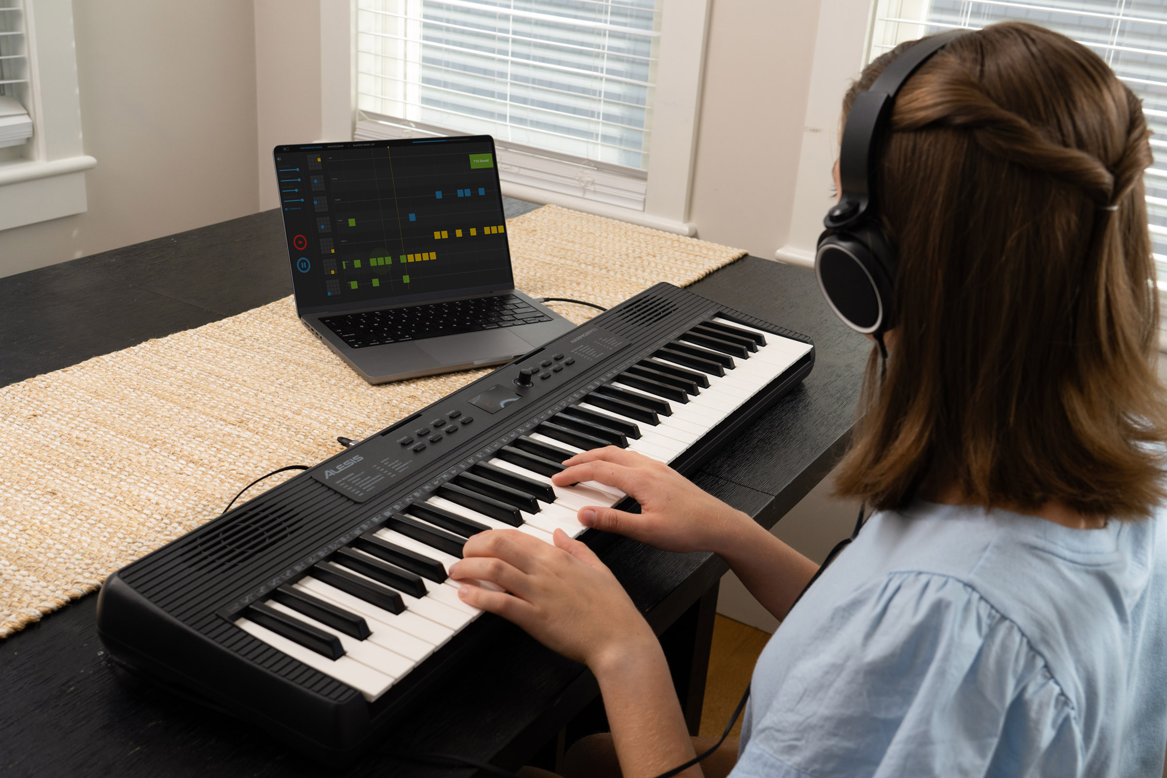 Alesis Harmony 61 Mk4 - Entertainer Keyboard - Variation 8