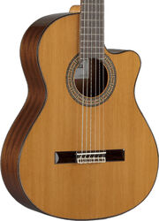 Cutaway 3C CW E1 - natural