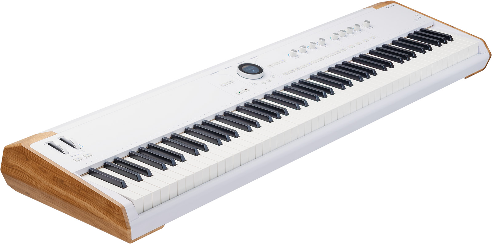 Arturia Astrolab 88 - Stage keyboard - Variation 1