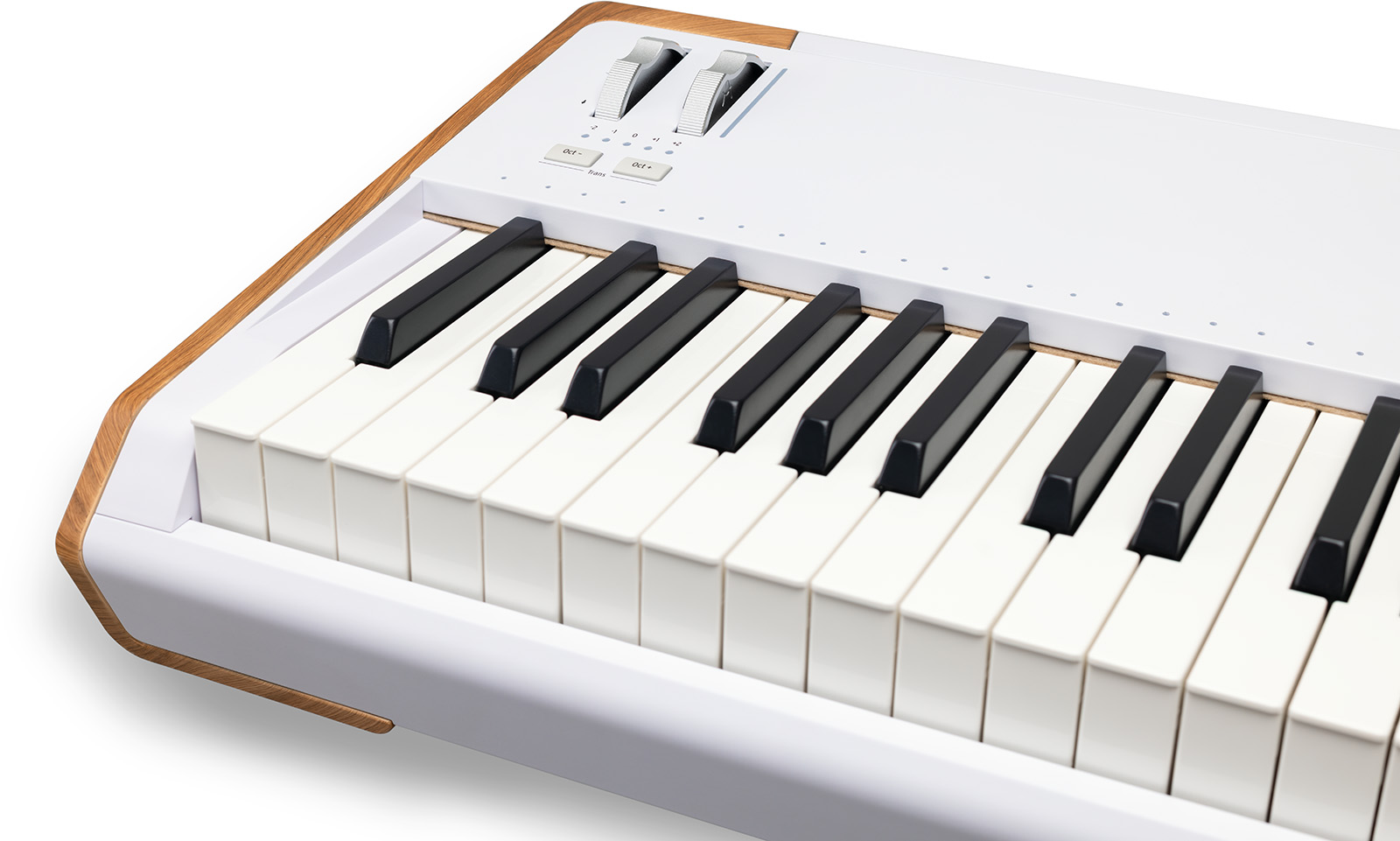 Arturia Astrolab 88 - Stage keyboard - Variation 6