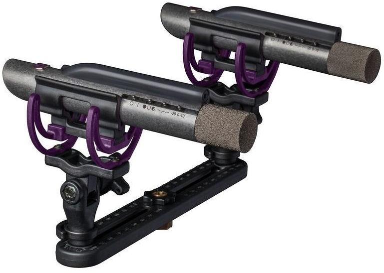 Wired microphones set Aston microphones Starlight Stereo