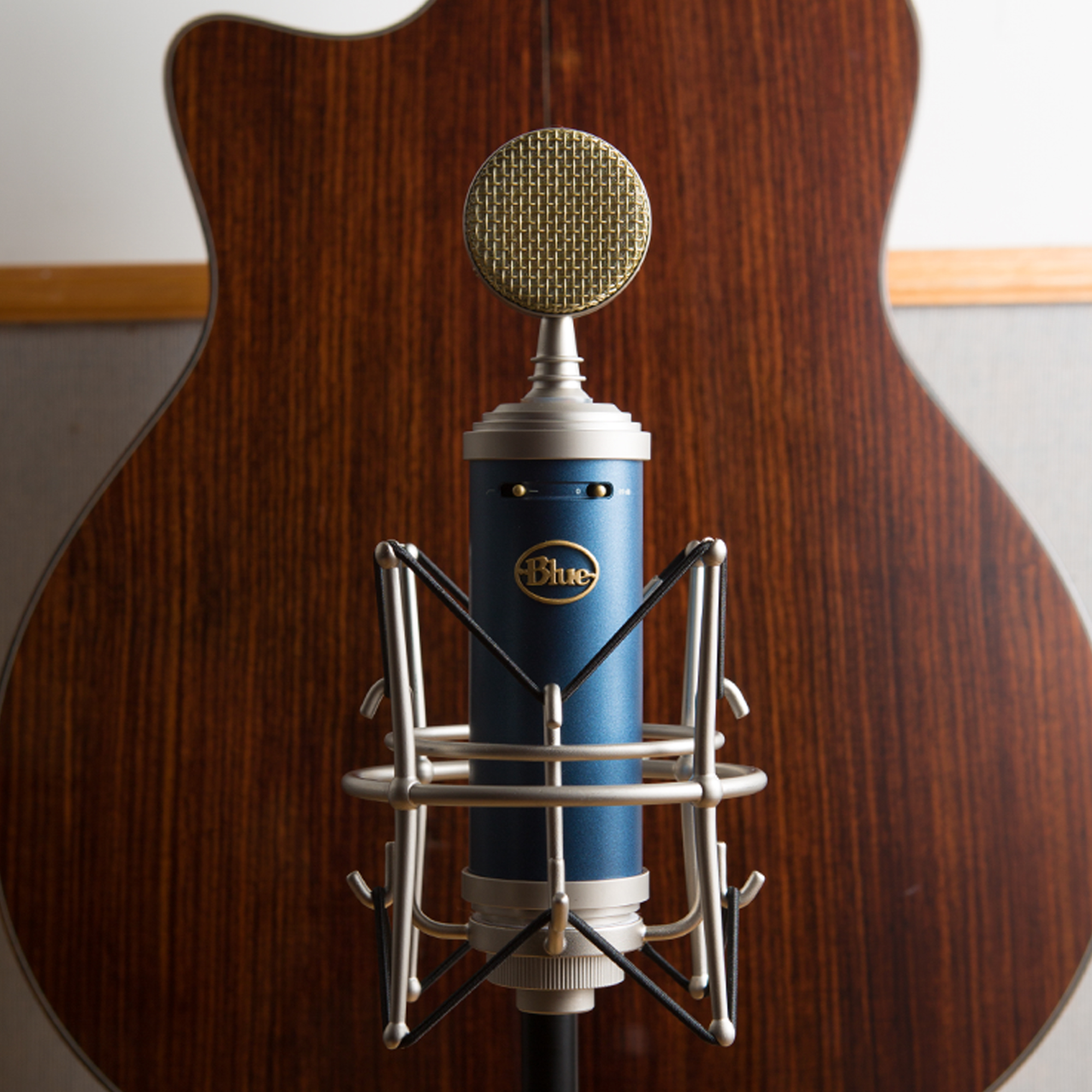 Blue Bluebird SL + Blue Compass Microphone pack with stand