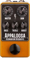 APPALOOSA OVERDRIVE