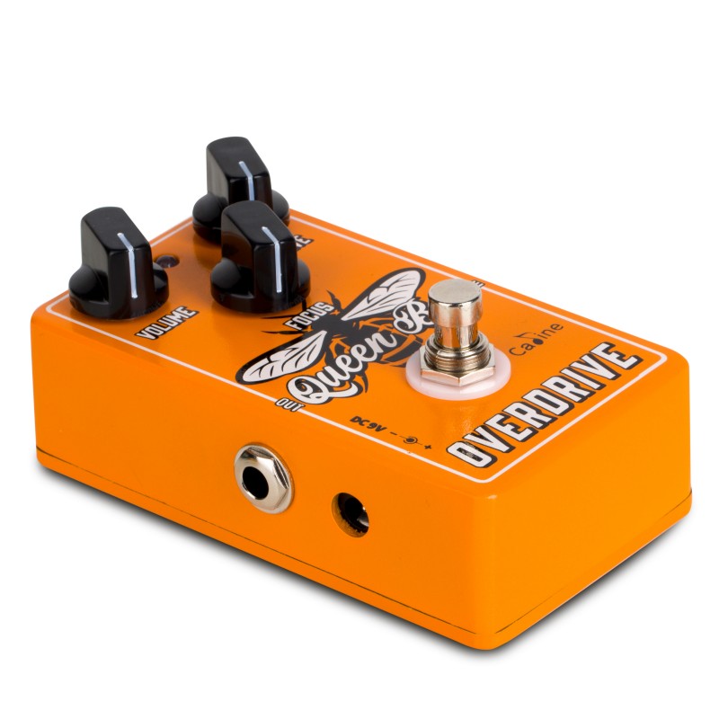Caline Cp503 Queen Bee Overdrive - Overdrive, distortion & fuzz effect pedal - Variation 1