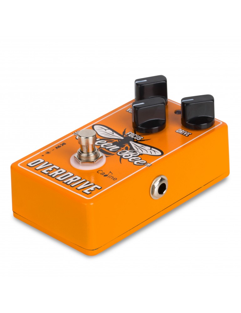 Caline Cp503 Queen Bee Overdrive - Overdrive, distortion & fuzz effect pedal - Variation 2