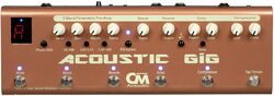 Multieffect for acoustic guitar Carl martin Acoustic Gig