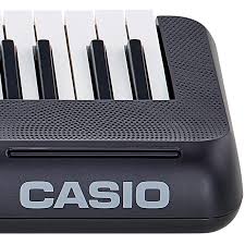 Casio Ct-s100 - Entertainer Keyboard - Variation 4