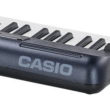 Casio Ct-s300 - Entertainer Keyboard - Variation 4