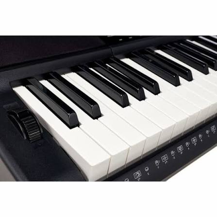 Casio Ct-x800 - Entertainer Keyboard - Variation 3