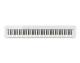 PX-S1100WE - blanc