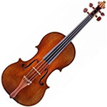 Acoustic violin