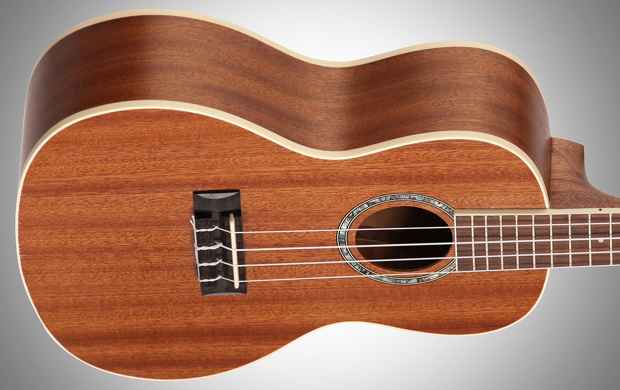 Cordoba 15tm Tenor Tout Acajou 2016 - Natural Matte - Ukulele - Variation 2