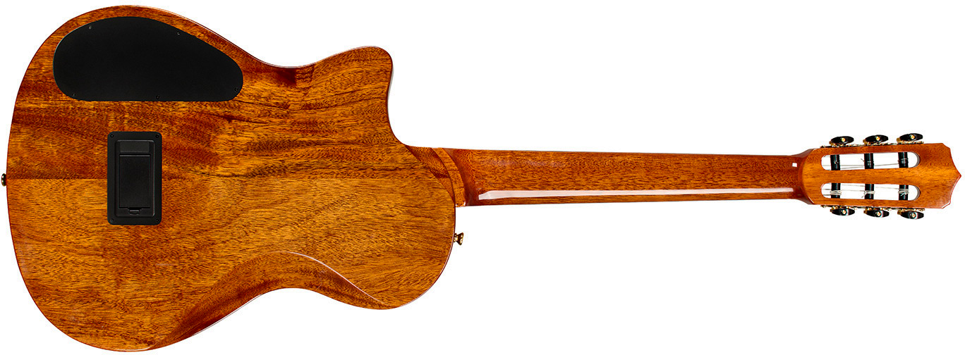 Cordoba Stage Artist Cw Epicea Acajou Eb - Agave Burst - Classical guitar 4/4 size - Variation 1