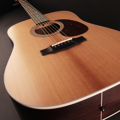 Cort Earth 200 Atv Dreadnought Epicea Pau Ferro Eb - Natural - Acoustic guitar & electro - Variation 1