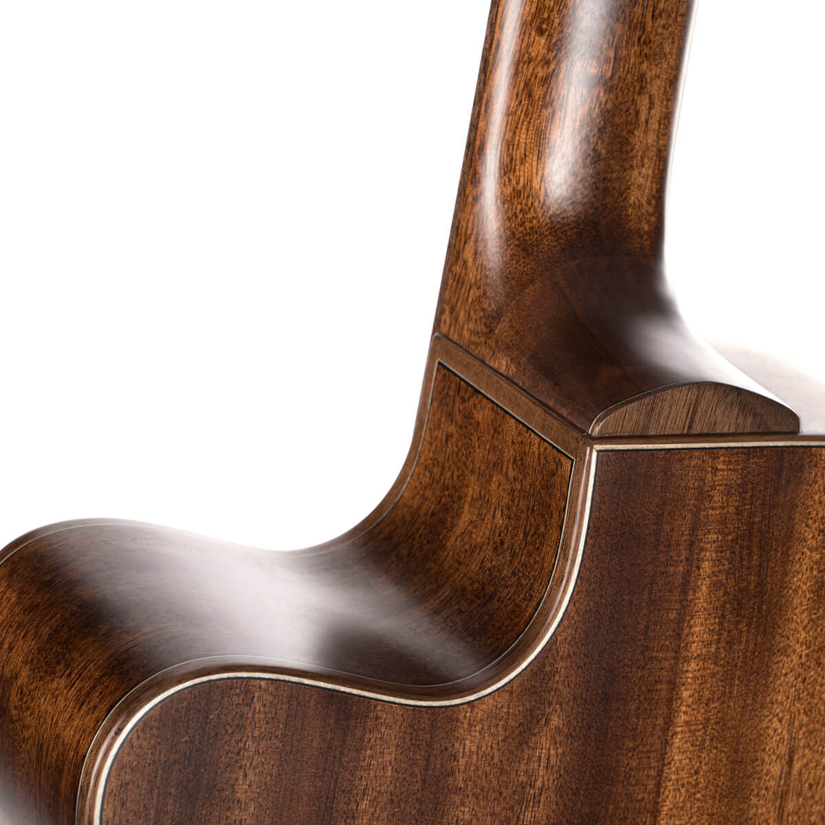 Cort Flow Oc Om Cw Cedre Acajou Eb - Natural Satin - Folk guitar - Variation 7