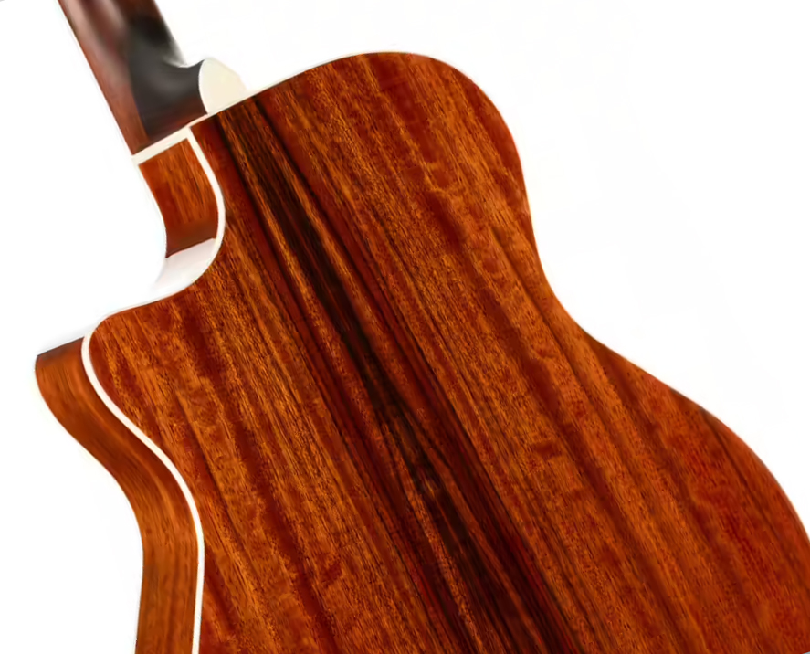 Cort Ga-dao Grand Regal Auditorium Cw Tout Dao Lau - Natural - Folk guitar - Variation 2