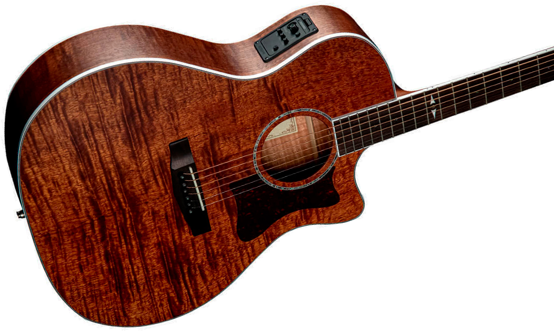 Cort Ga5f-fmh Grand Regal Auditorium Cw Tout Acajou Ova - Natural Open Pore - Folk guitar - Variation 4