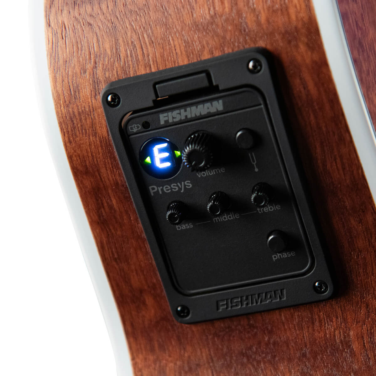 Cort Ga5f-fmh Grand Regal Auditorium Cw Tout Acajou Ova - Natural Open Pore - Folk guitar - Variation 8