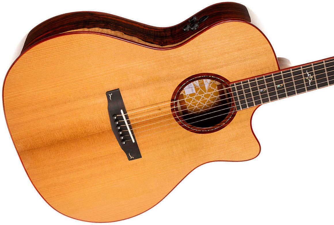 Cort Gold A10 Cocobolo Grand Auditorium Cw Epicea Cocobolo Eb - Natural - Folk guitar - Variation 2