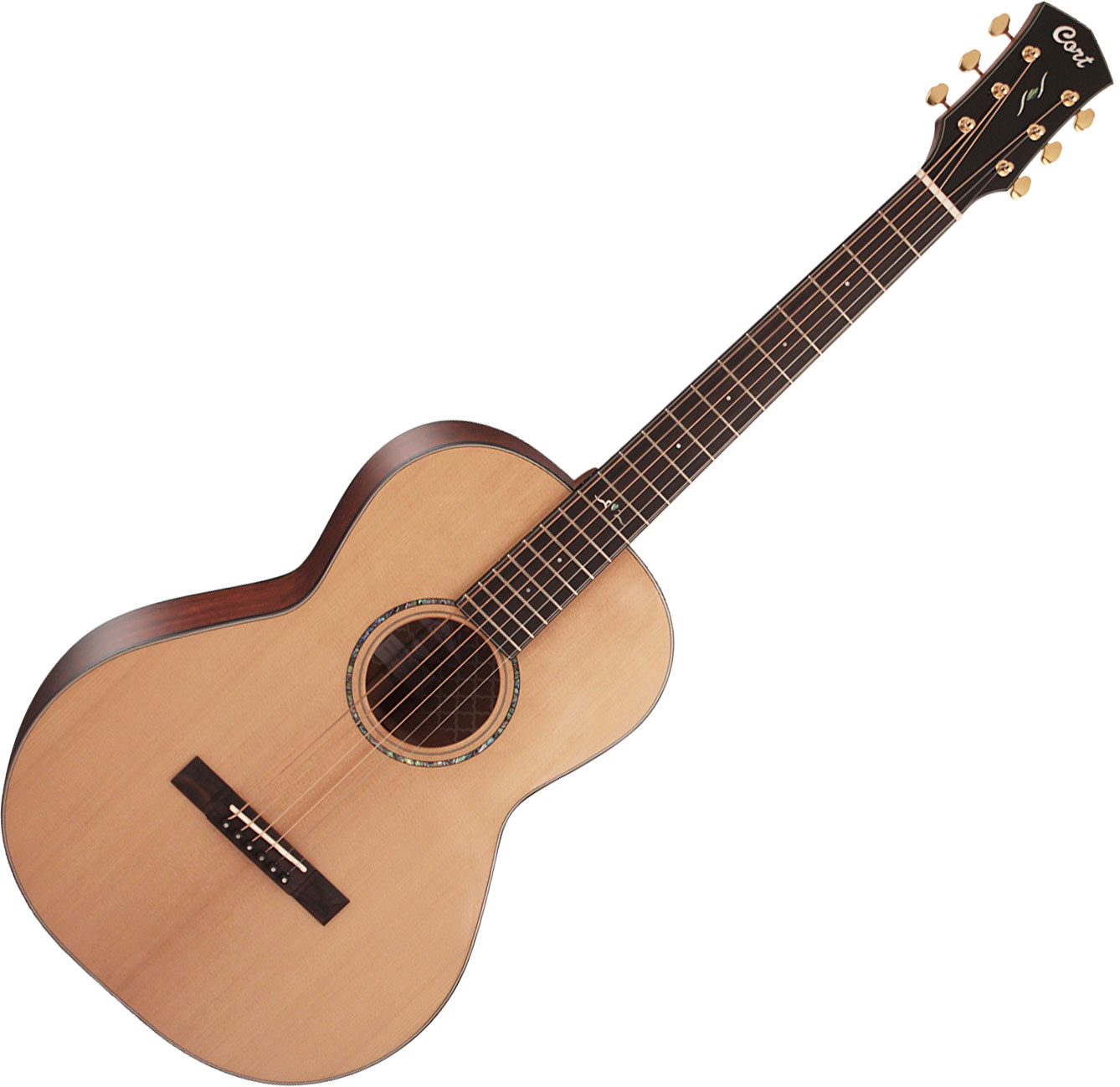 cort parlour guitar