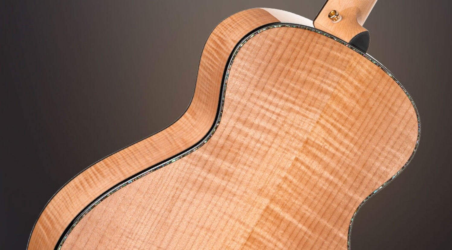 Cort Gold Passion Grand Concert Epicea Erable Eb - Natural - Folk guitar - Variation 6