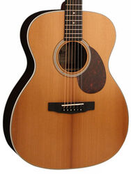 Folk guitar Cort L200ATV SG - Natural