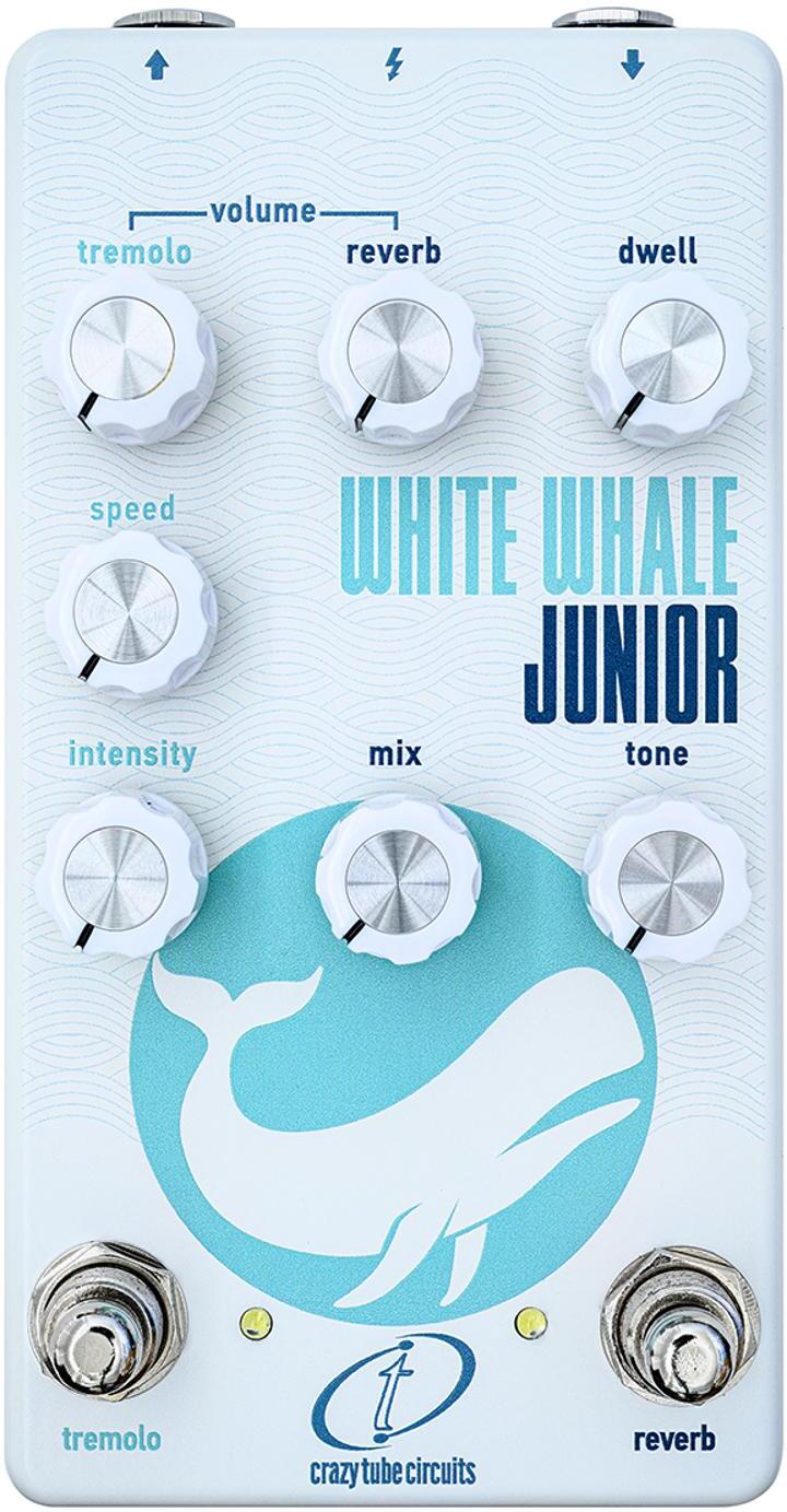Crazy Tube Circuit Whte Whale Jr - Reverb, delay & echo effect pedal - Main picture