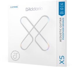Acoustic guitar strings D'addario 12-53 Light, Jacob Collier 5-String Taylor,  Coated Acoustic Guitar Strings - 5-string set
