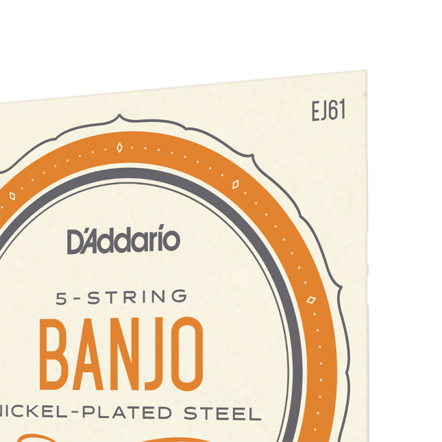 D'addario Ej61 5-string Bango Medium Nickel Plated Steel 010-023 - Banjo strings - Variation 1