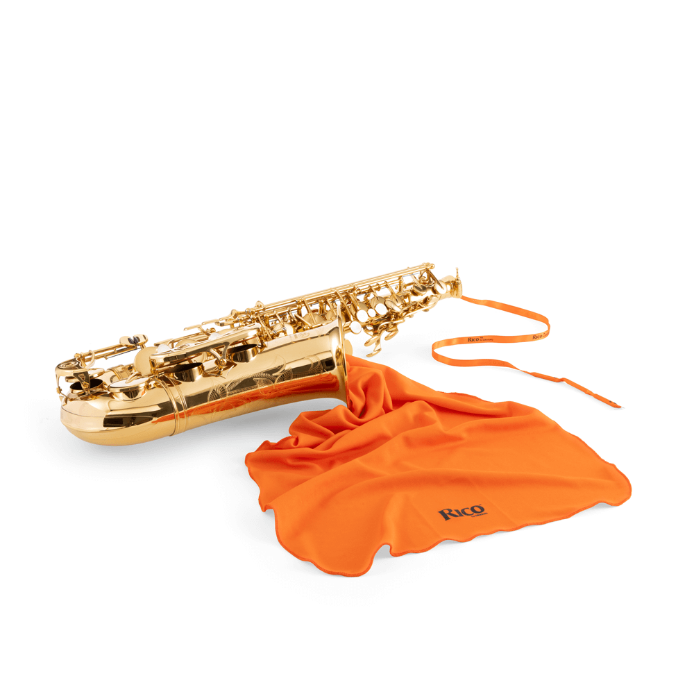 D'addario Rswab-lg Rico Anti-microbial Swab, Large Instruments - Maintenance product for recorder - Variation 4