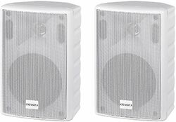 Passive fullrangespeaker Definitive audio NEF 5 WH (paire)