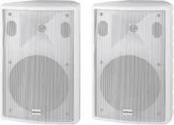 Passive fullrangespeaker Definitive audio NEF 8 WH (paire)