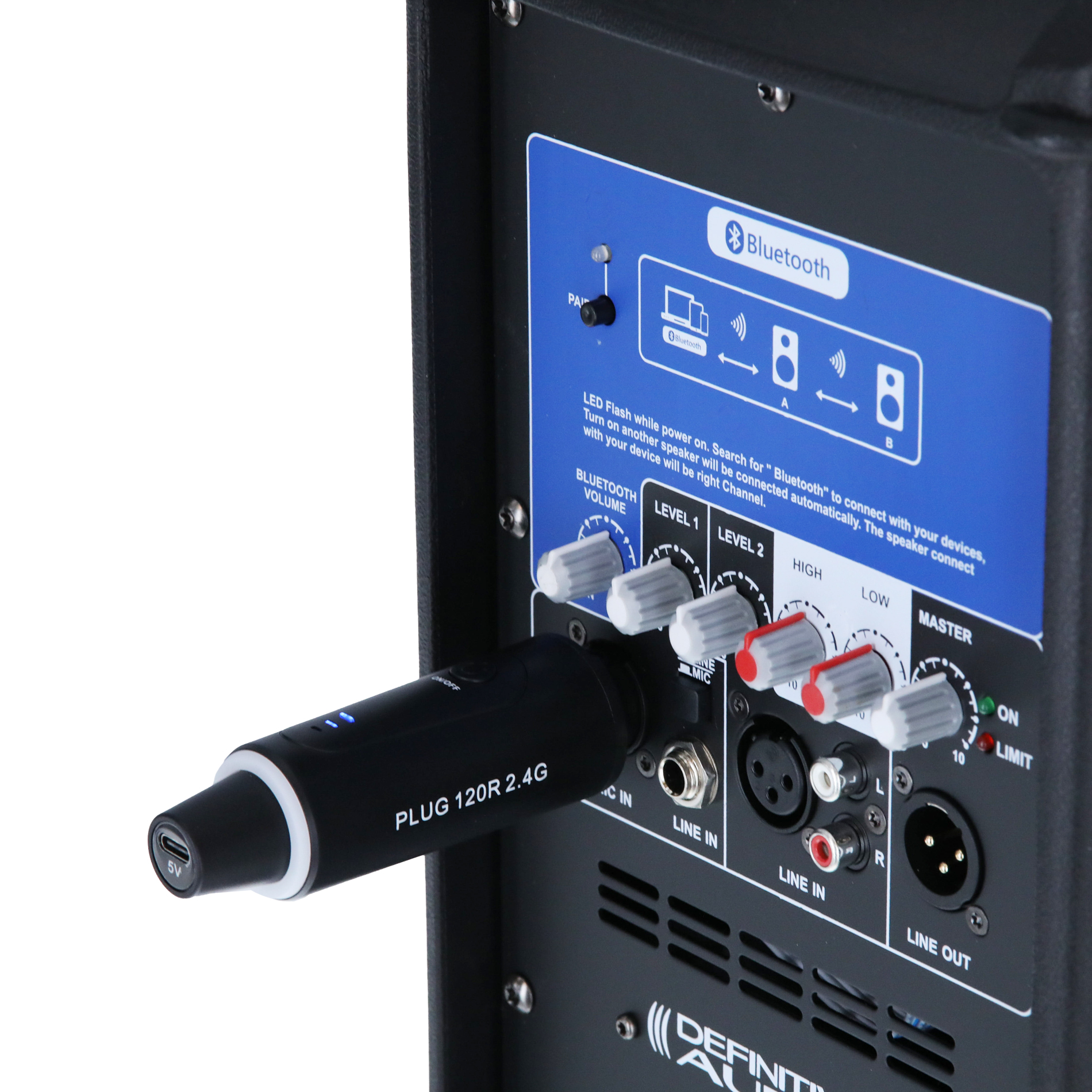 Definitive Audio Plug 120r 2.4g - Wireless system - Variation 8