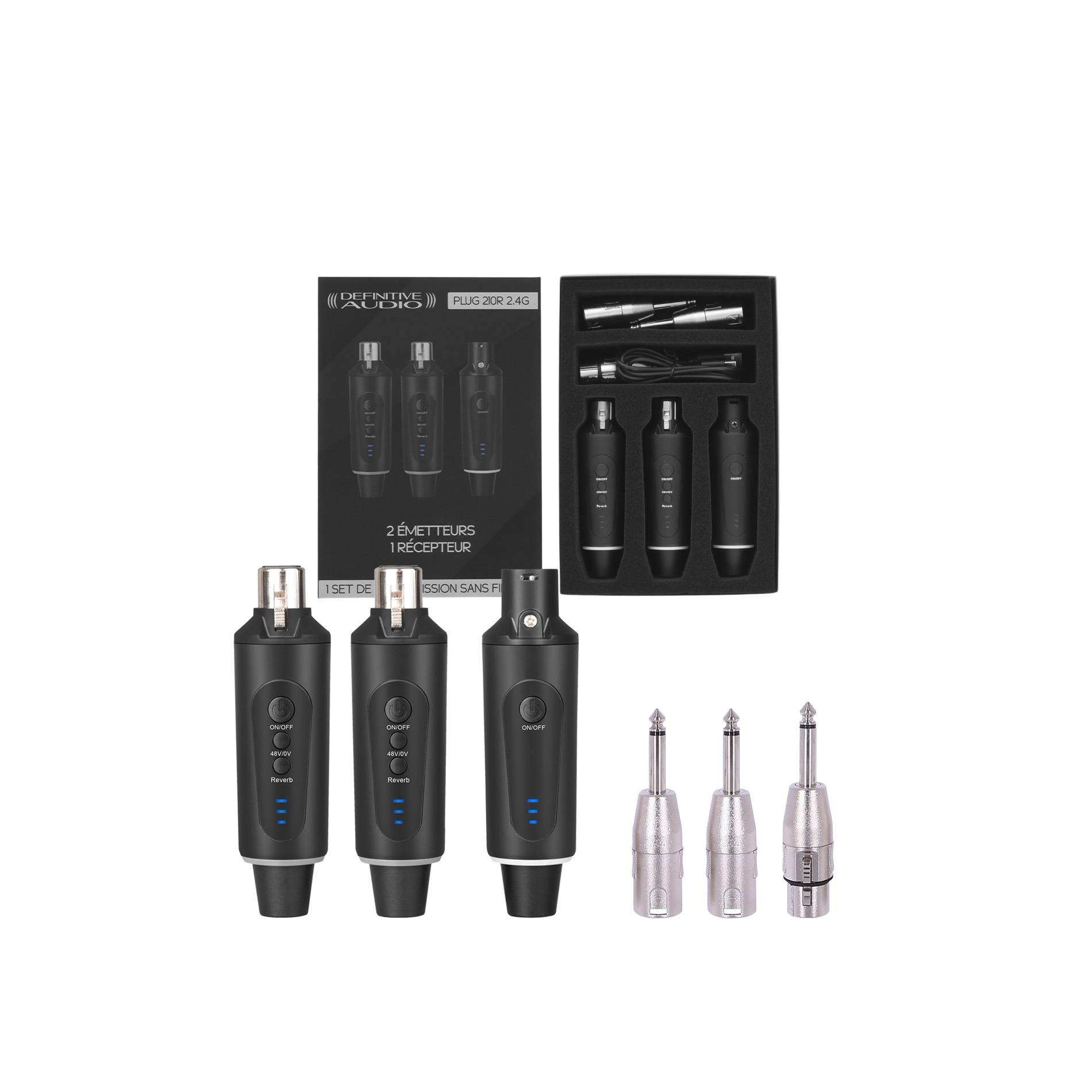 Definitive Audio Plug 210r 2.4g - Wireless system - Variation 6