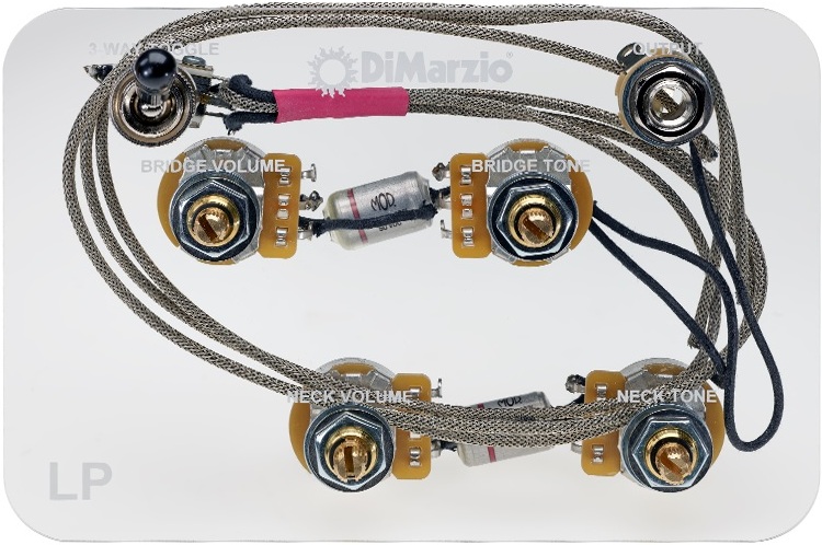 Dimarzio Gw2101 - Pot - Main picture