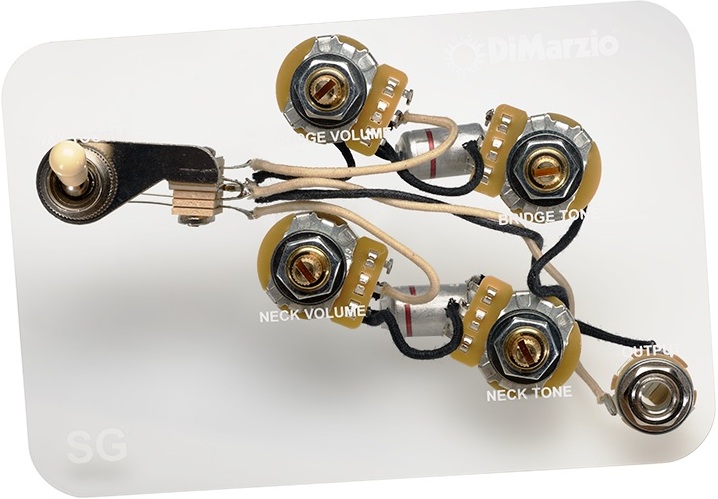 Dimarzio Gw2104 - Pot - Main picture