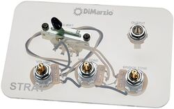 Pot Dimarzio GW2108A5