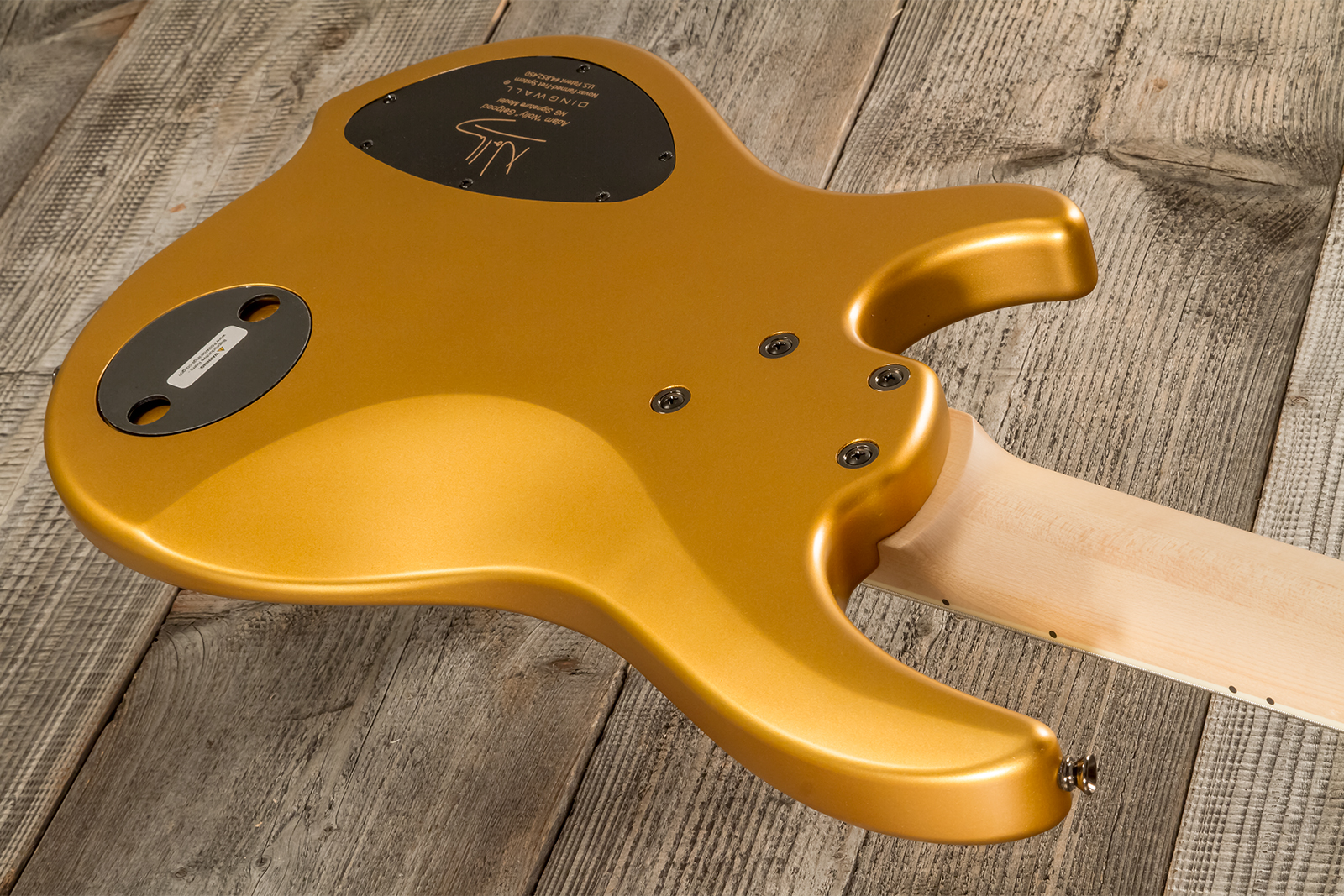 Dingwall Adam Nolly Getgood Ng3 5c Signature 3pu Active Mn - Gold Matte - Solid body electric bass - Variation 7