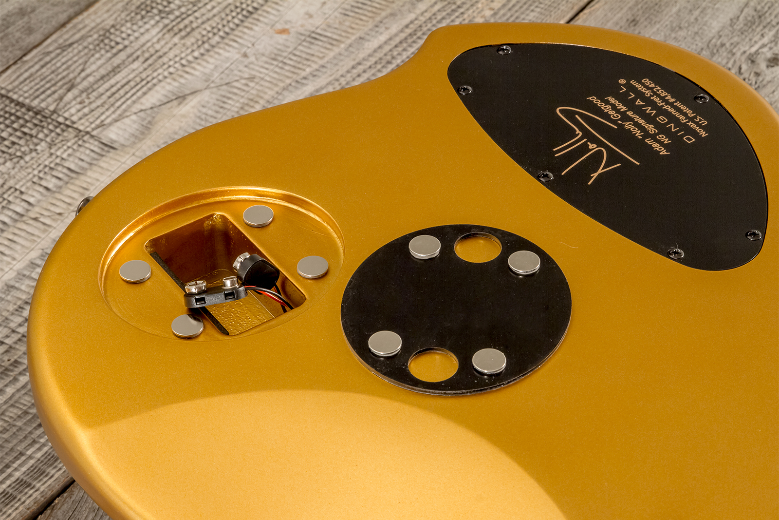 Dingwall Adam Nolly Getgood Ng3 5c Signature 3pu Active Mn - Gold Matte - Solid body electric bass - Variation 8