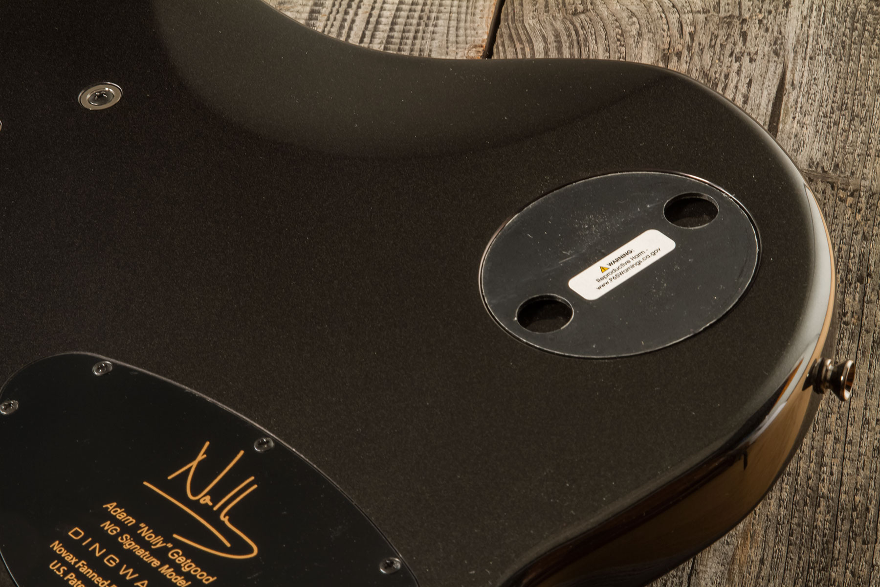 Dingwall Basse Électrique Solid Body - Solid body electric bass - Variation 6